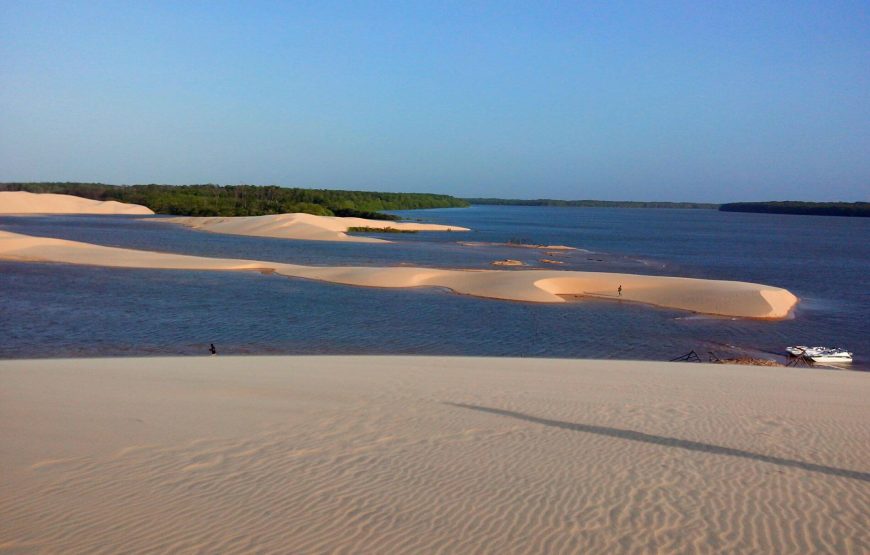 Tour Revoada dos Guarás no Delta