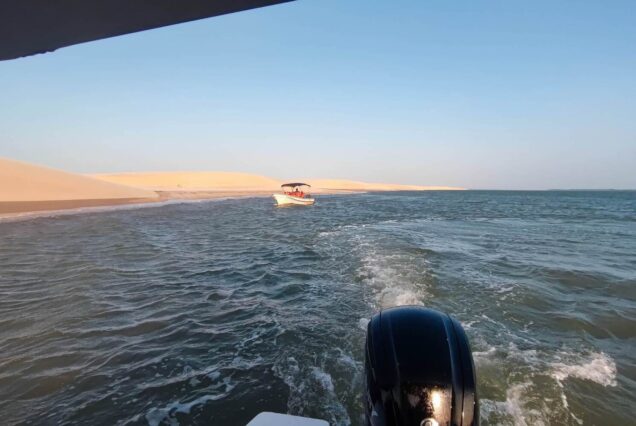 Tour Ilhas do Delta com revoada dos Guarás