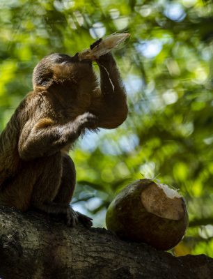 Tour Rio Preguiças-6